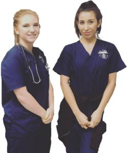 Medical Assistant Students at Modern Technology School