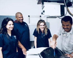 Best X-ray Technician School in Orange County