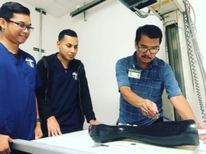 x-ray technician training program at modern technology school